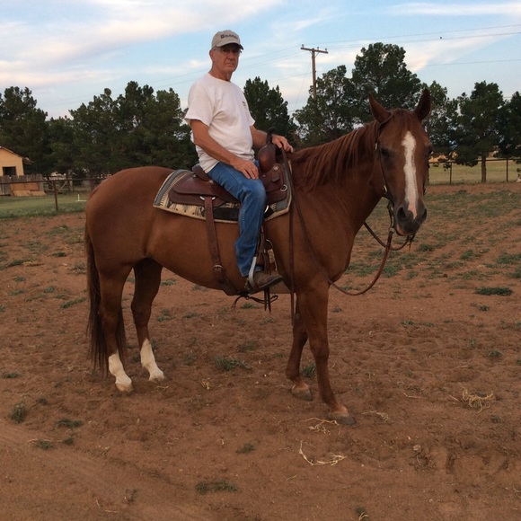 Meet your Posher, Elizabeth - Picture 5 of 8